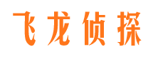 栾城市侦探调查公司